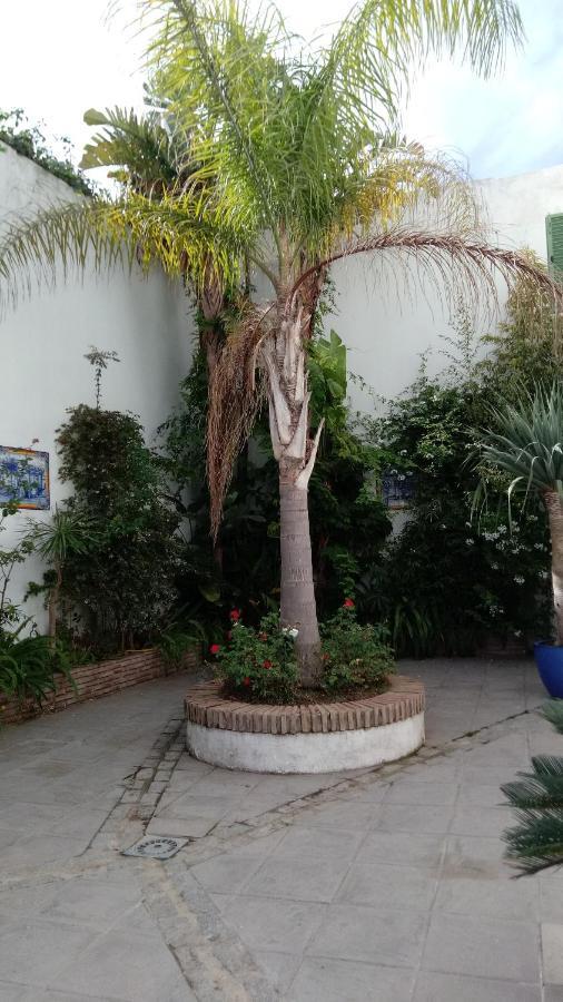 Gravina Comfort Tarifa Exterior foto